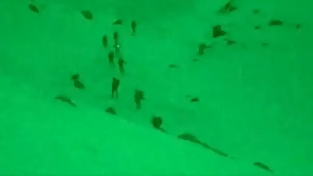 قوة إسرائيلية
