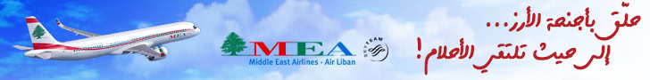 MEA Banner