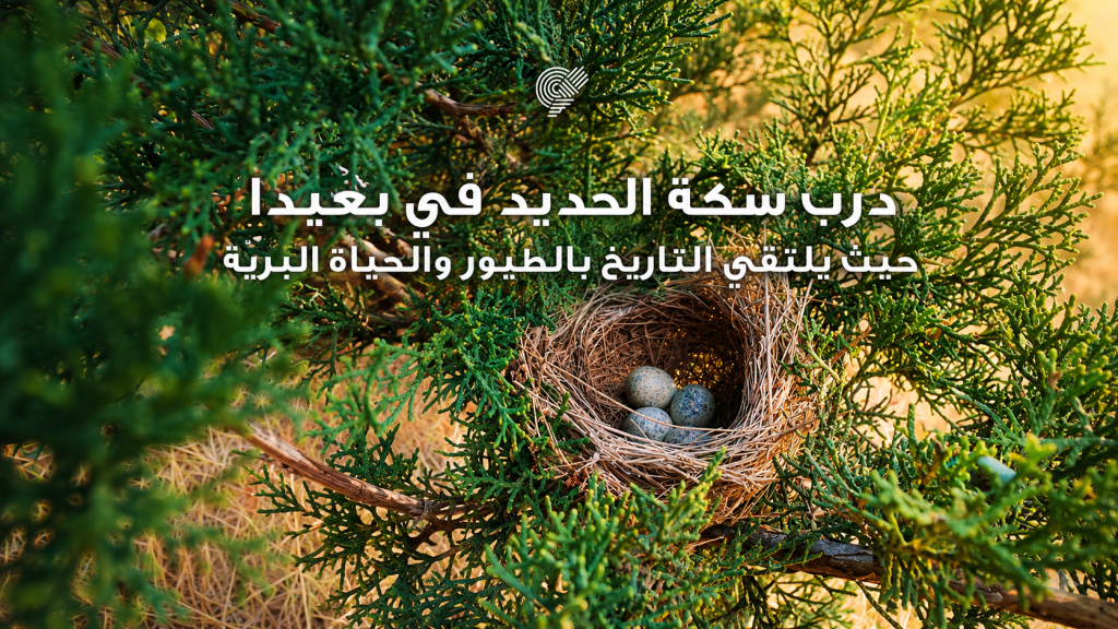 درب سكة الحديد في بعبدا… حيث يلتقي التاريخ بالطيور والحياة البريّة
